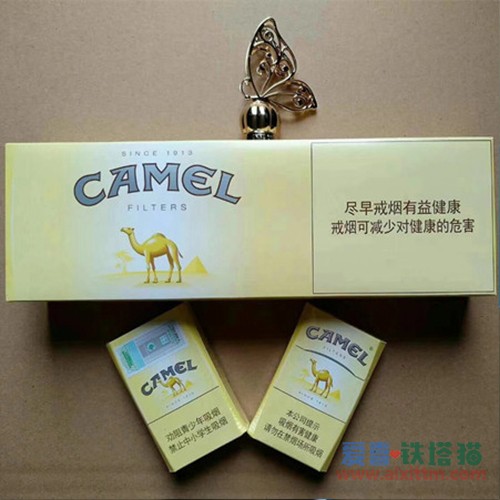 CAMEL中免黄骆驼 