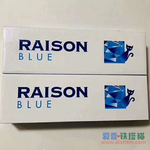 RAISON铁塔猫BLUE蓝猫