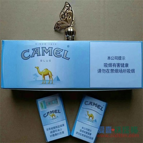 CAMEL中免蓝骆驼 