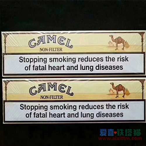 CAMEL欧盟骆驼无嘴