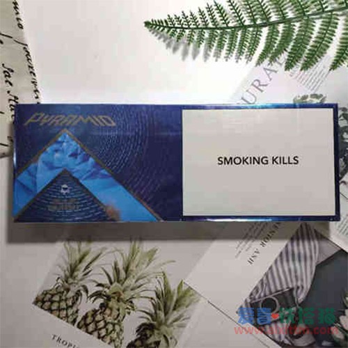 CAMEL骆驼蓝莓爆珠细支 