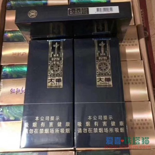 大华中支视野