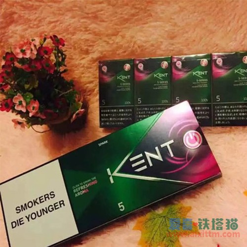 欧盟KENT杨梅爆珠