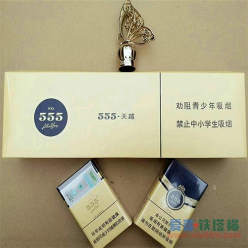 中免555天越