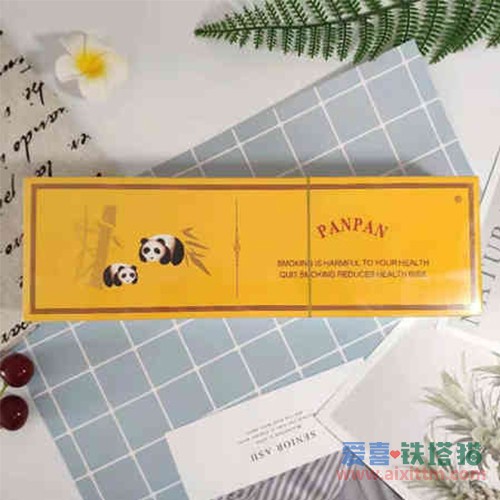 PANPAN黄熊猫